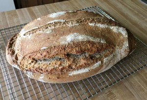 sourdough rye-wheat bread